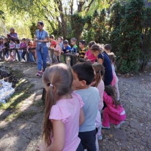 Вртић Љиљан-11