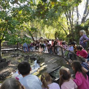 Вртић Љиљан-2