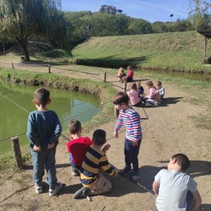 Вртић Љиљан-3