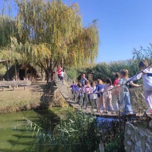 Вртић Љиљан-4