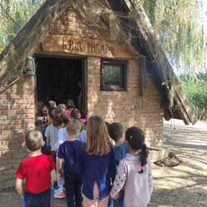 Вртић Љиљан-5