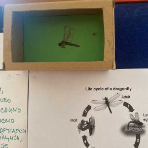 Вртић Бамби Панчево-2