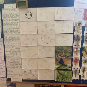 Вртић Бамби Панчево-4