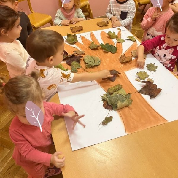 Вртић Шврћа-1