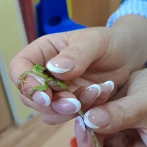 6 зашто има кожицу између прстију, како функционише њен језик и сл.