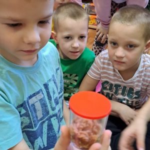 7 Чиме се жабе хране и како функционише њен језик.