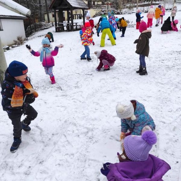 Вртић Љиљан Панчево-1