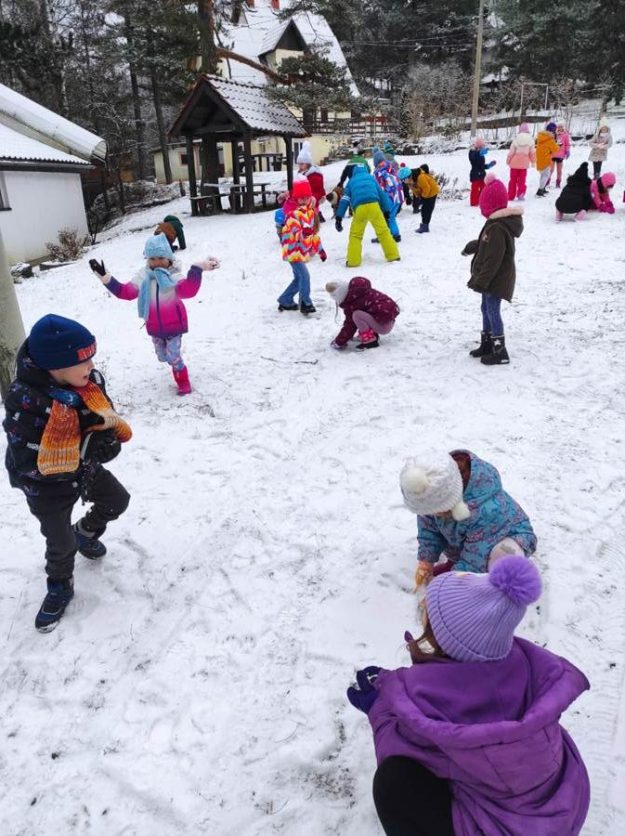 Вртић Љиљан Панчево-1