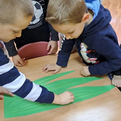 Вртић Лане (1) Вртић Лане (1)