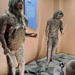 Вртић Лане (10)