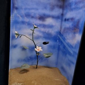 Вртић Лане (11)