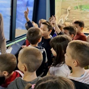 Вртић Лане (16)