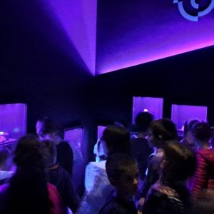 Вртић Лане (17)