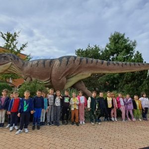 Вртић Лане (19)