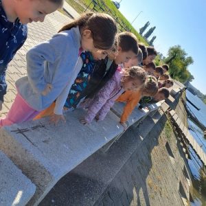 Вртић Лане (2)