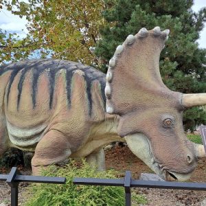 Вртић Лане (20)