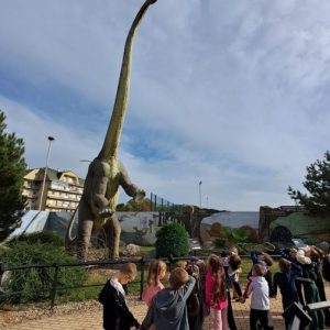 Вртић Лане (22)