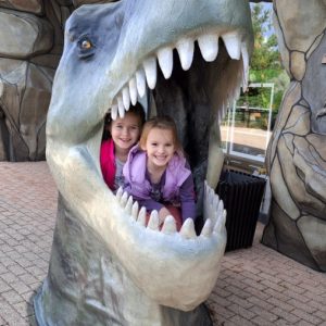 Вртић Лане (24)