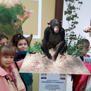 Вртић Лане (27)