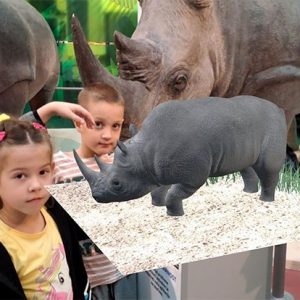 Вртић Лане (28)