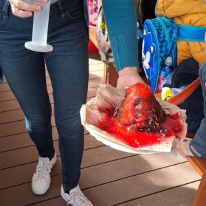 Вртић Лане (3)