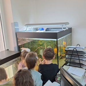 Вртић Лане (4)