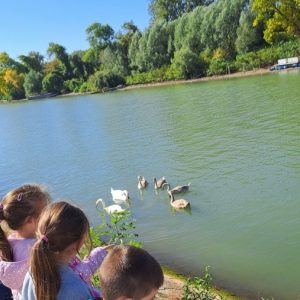 Вртић Лане (4)