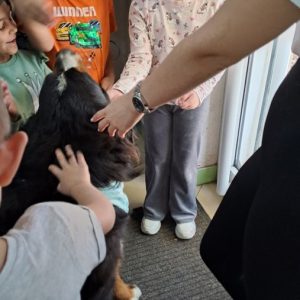 Вртић Лане (6)