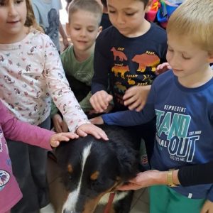 Вртић Лане (7)