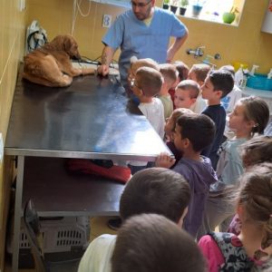 Вртић Лане (9)