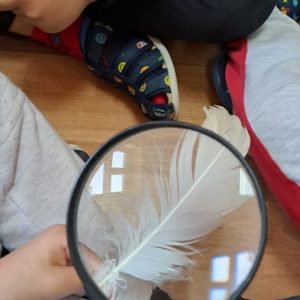 Вртић Лане (9)