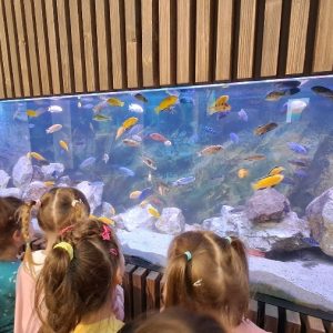 Вртић Лане (9)