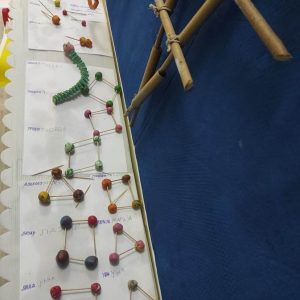 Вртић Љиљан-3