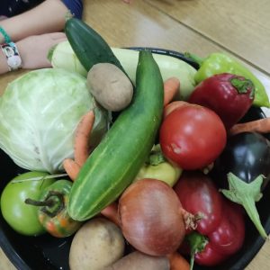 Вртић Чупераk-4