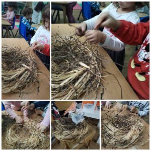 Вртић Чуперак-5 Вртић Чуперак-5