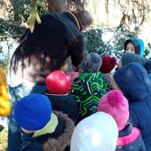 Вртић Лептирић Панчево-8