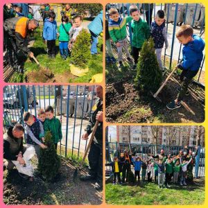 Светски дан шума-4 Светски дан шума-4