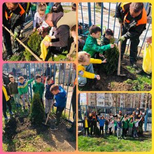 Светски дан шума-5 Светски дан шума-5