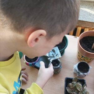 Вртић Бубамара Панчево-3