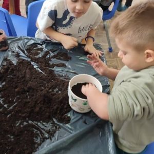 Вртић Бубамара Панчево-4