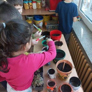 Вртић Бубамара Панчево-5