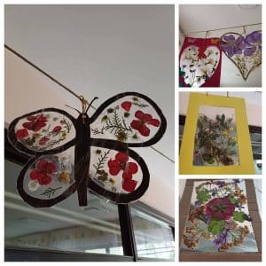 Вртић Лептирић-8