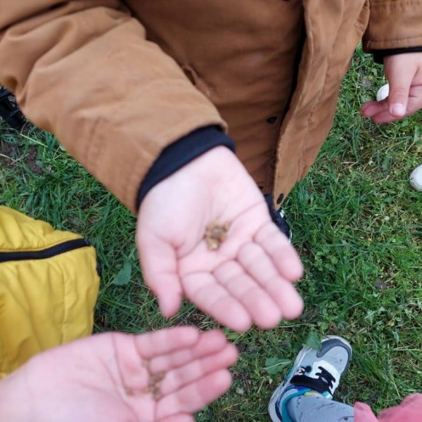 Вртић Сунце-1