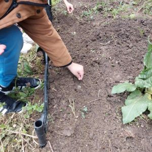 Вртић Сунце-3