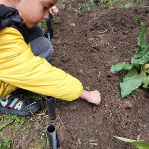 Вртић Сунце-4