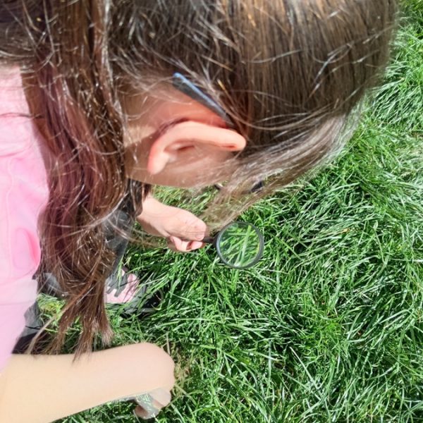 Вртић Црвенкапа-1