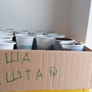 Вртић Црвенкапа-11