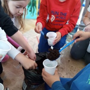 Вртић Црвенкапа-4