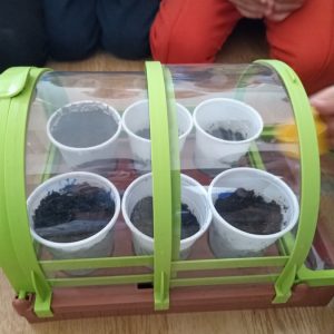 Вртић Црвенкапа-8