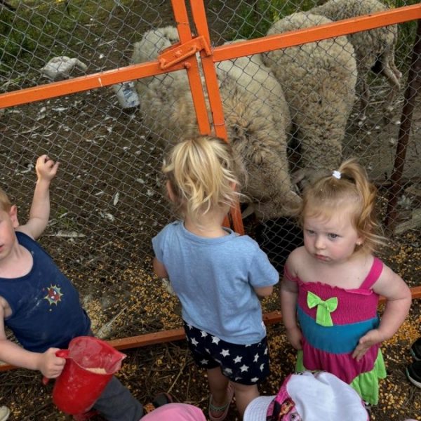 Вртић Забавник-1